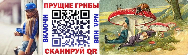 Галлюциногенные грибы мухоморы  Губкин 